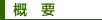 概要